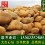 绿化造景假山驳岸装饰黄蜡石