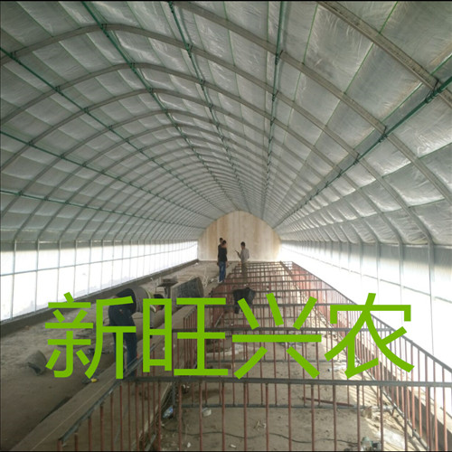 供应新旺兴农养殖大棚 大棚养猪 蔬菜大棚  保温大棚  大棚建设