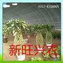 新旺兴农注塑钢管保温大棚1701种植大棚