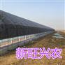 新旺兴农保温大棚热镀锌方管骨架 大棚建设