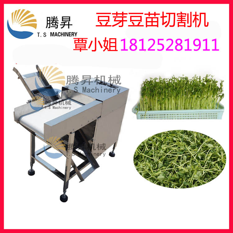 商用切菜机 自动绿豆芽/菜苗切割机切根机