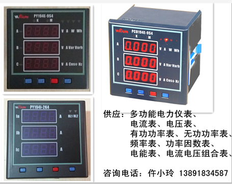 电流表PA1008-2K4