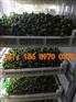 芽苗菜生产设备哪有卖 北京全自动芽菜机设备价格