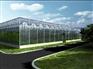 实力强的玻璃板温室建造亿成温室工程提供—