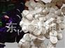 优惠的双扣丙纶，性价比高的双扣白丙纶吊带