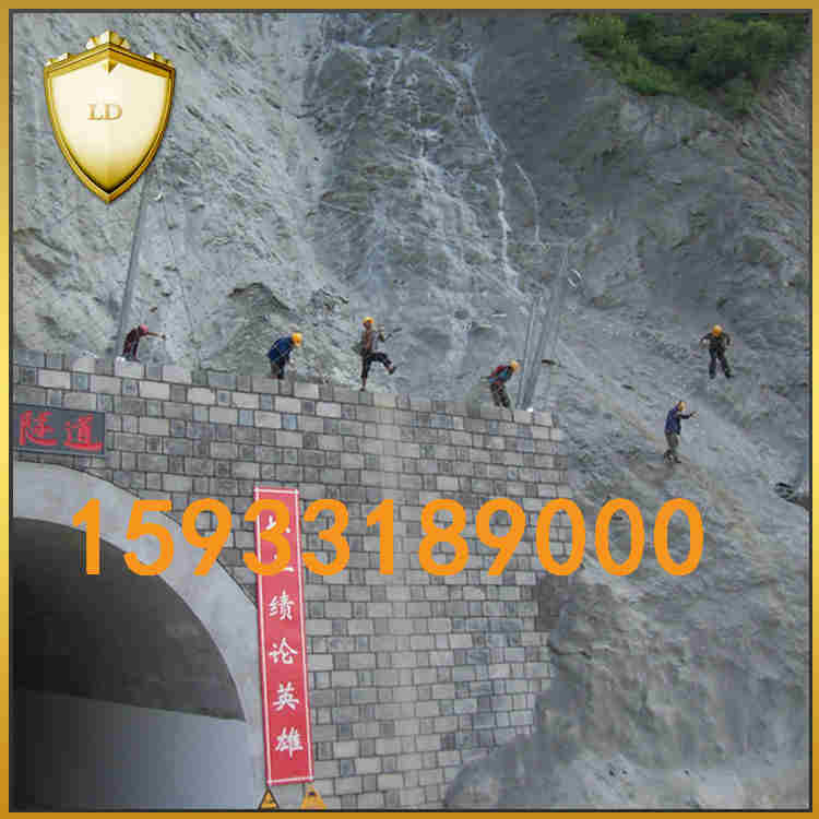 专业定制RX-025被动防护网 落石防护网 边坡防护网 落石拦截网