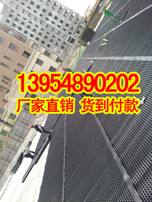 襄阳2公分排水板车库排水板