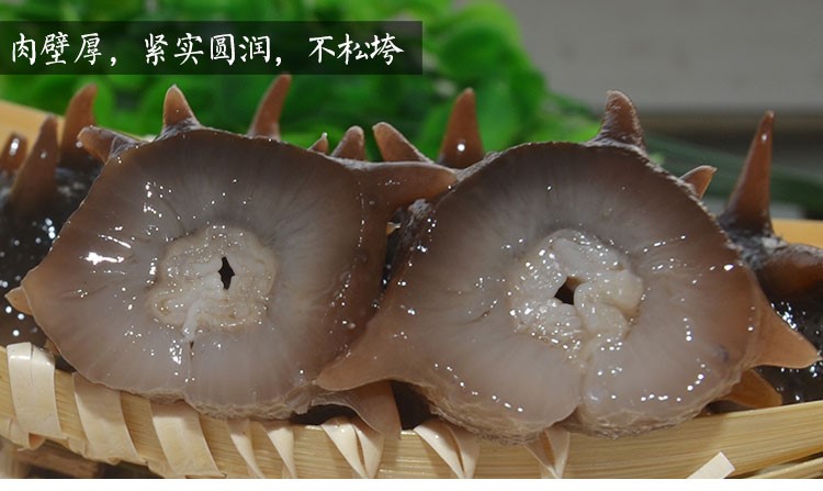 运城海参批发价格批发市场在哪有卖的 活海参批发市场 哪里有卖活海参的 海参批发市场在哪