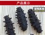 侯马养殖海参批发市场在哪有卖的