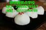 学习雪梅娘制作技术 平顶山雪梅娘培训机构