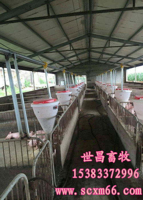 大型猪场安装自动喂猪供料系统预算价格  猪用自动料线  育肥猪料线  自动料线预算