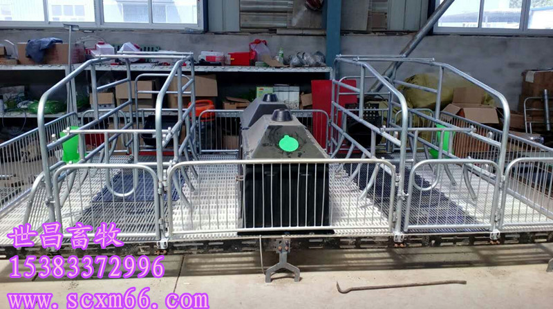 河北世昌自焊自销母猪双体产床价格合理  自焊母猪产床  母猪产床配件