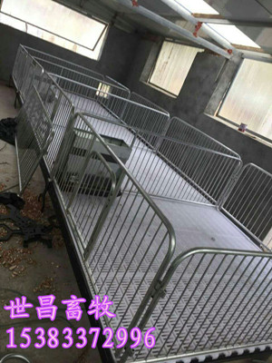 专业养猪设备厂自焊仔猪断奶床 世昌报价合理  自焊小猪床  保育栏规格