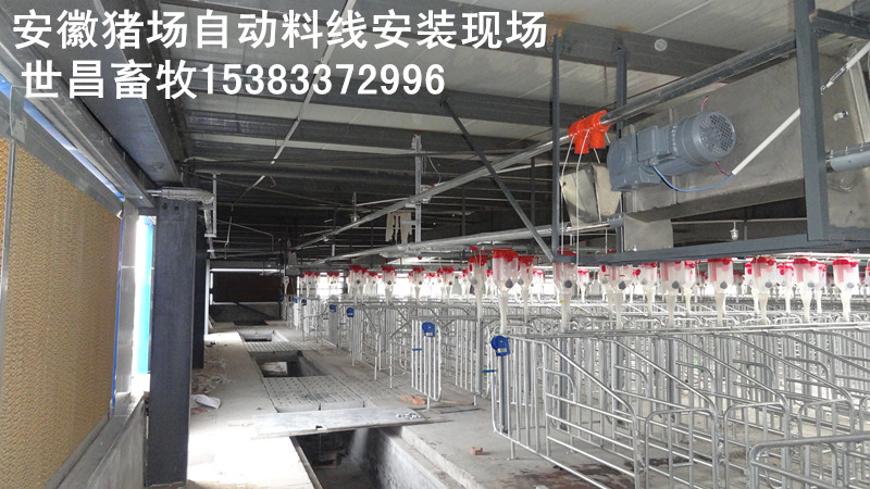 猪舍安装自动化上料系统 专业技术指导安装  猪料线厂家  自动料线预算价格  全自动上料设备