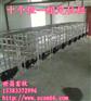 养猪设备母猪保胎定位栏加厚钢板食槽