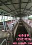 大型猪场安装自动喂猪供料系统预算价格
