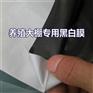 pe膜单价,pe膜,巨龙包装(图)