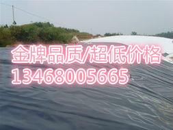 欢迎光临【临沧塑料蓄排水板厂家】