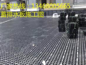 欢迎光临【烟台塑料蓄排水板厂家】