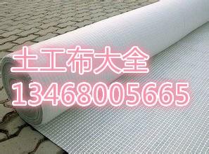 内江化粪池用聚乙烯防渗膜>价格  Mobilcut