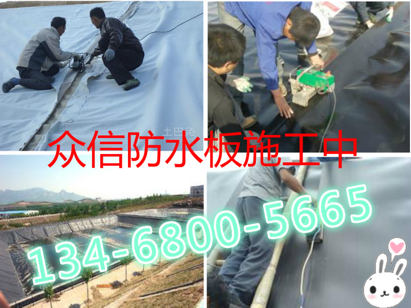 欢迎光临【呼和浩特塑料蓄排水板厂家】  Mobilcut