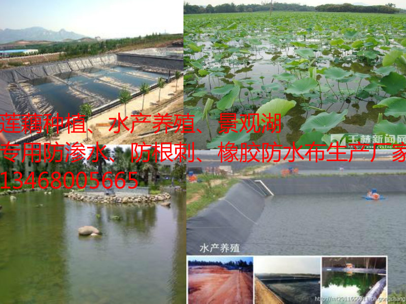 七台河化粪池用聚乙烯防渗膜>价格  Mobilcut