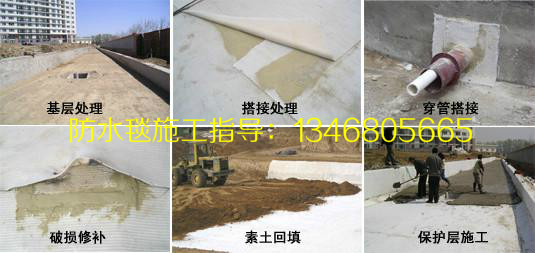欢迎光临【保定塑料蓄排水板厂家】