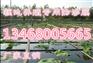 长沙化粪池用聚乙烯防渗膜>价格