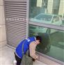 跳蚤怎么消灭？杀虫公司有高招