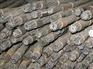 四川矿用笼型锚索 哪里买质量好的矿用笼型