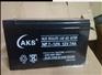 AKS奥克松蓄电池NP12-12/12V12AH规格