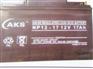 AKS奥克松蓄电池NP12-17/12V17AH型号