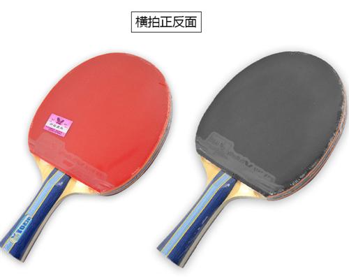乒乓球拍奖品|湖南乒乓球拍|乒乓球拍(查  蝴蝶乒乓球拍  品牌乒乓球拍