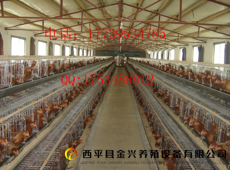 金兴鸡笼厂家生产优质鸡笼  肉鸡笼  蛋鸡笼  育雏笼