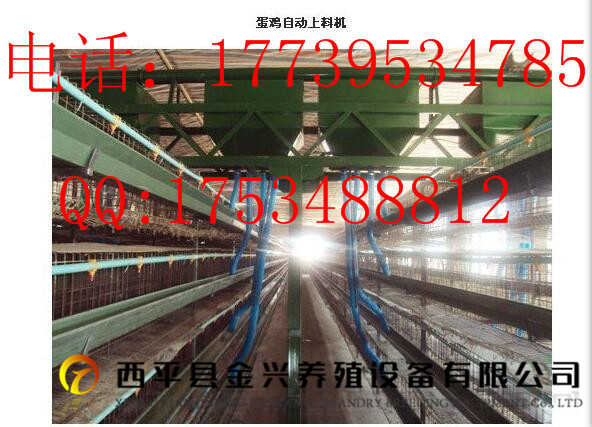 不锈钢蛋鸡笼肉鸡笼育雏笼自动化上料清粪机