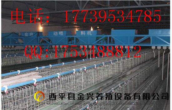 关于育雏立式鸡笼的介绍  育雏笼  立式笼  蛋鸡笼
