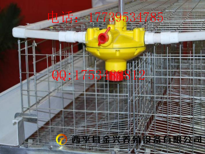 厂家批发小肉蛋鸡笼 喂料上料清粪鸡 养鸡设备  肉鸡笼