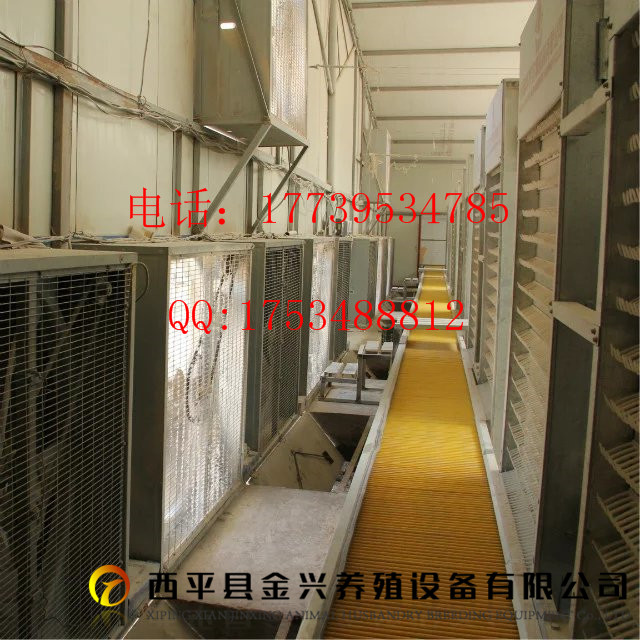 养鸡设备自动鸡蛋系统  集蛋
