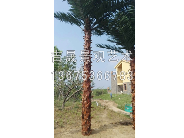 仿真棕榈树|供应潍坊具有口碑的仿真棕榈树  仿真棕榈树制作  仿真棕榈树供应