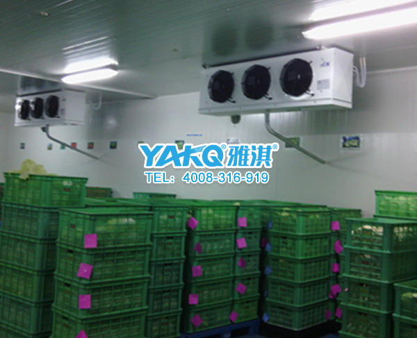雅淇保鲜冷库 冷库生产厂家  雅淇冷库