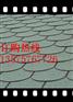 【宁波沥青瓦-【生产厂家】