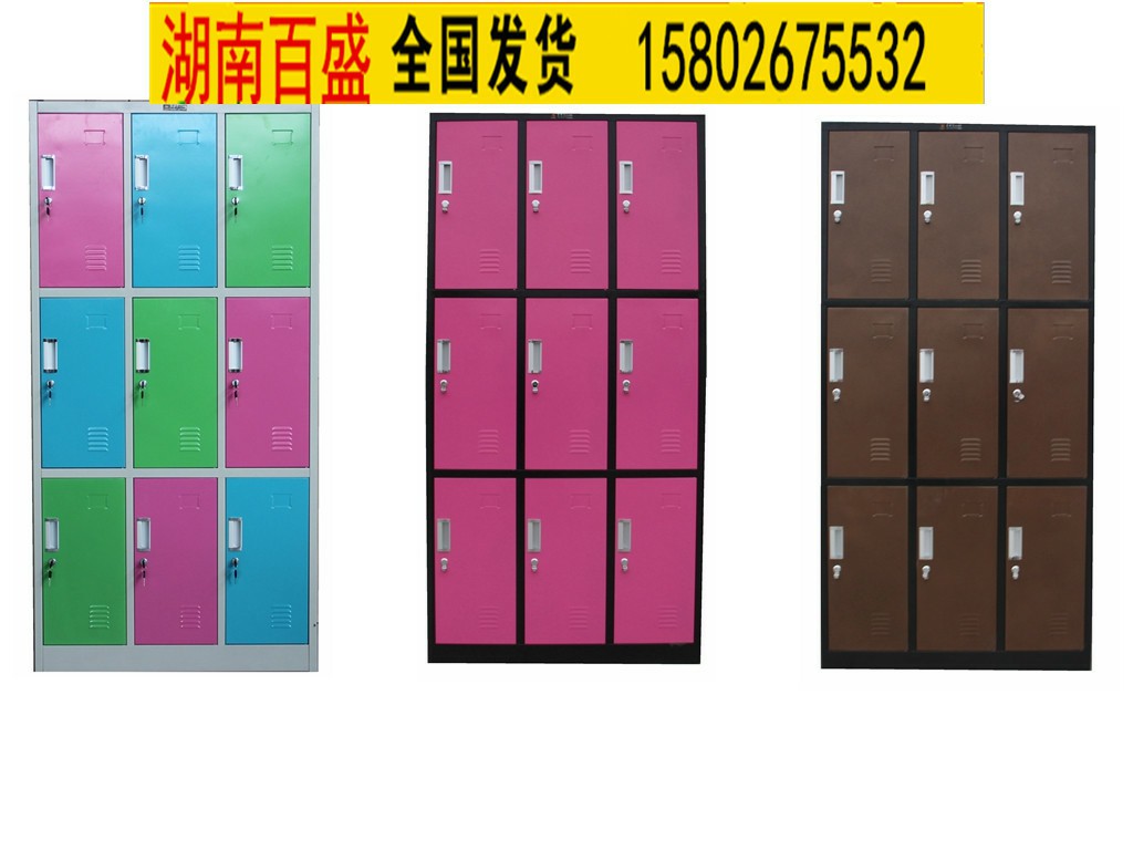 郴州储物柜钢制储物柜定做_长沙锐源家具  铁皮衣柜厂家  两门储物柜  二门储物柜