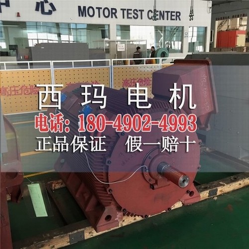山西YB2-5002-2 630KW ExdⅡBT4 Gb防爆电机  高压电机  高压防爆电机  大中型直流电机