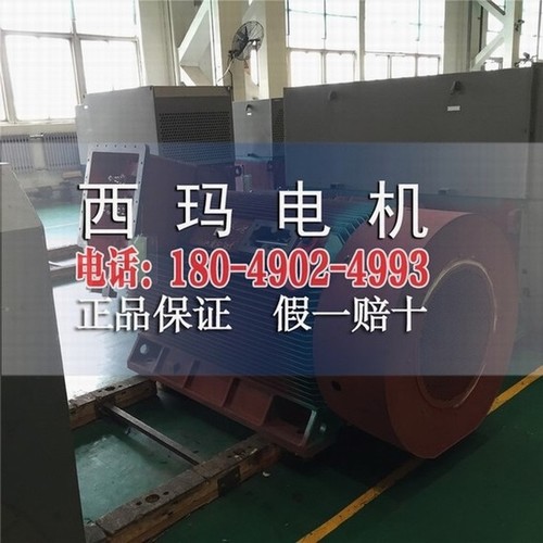 YB2-4501-2 355KW ExdⅡBT4 Gb防爆高压电机  高压防爆电机  大中型直流电机