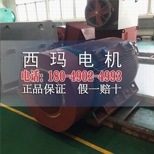 YB2-4504-6 500KW ExdⅡBT4 Gb防爆高压电机  高压防爆电机  大中型直流电机