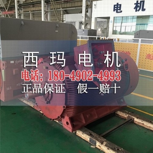 YB2-5002-8 315KW ExdⅡBT4 Gb防爆电机  高压电机  高压防爆电机  大中型直流电机