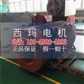 YB2-4504-6 500KW ExdⅡBT4 Gb防爆高压电机