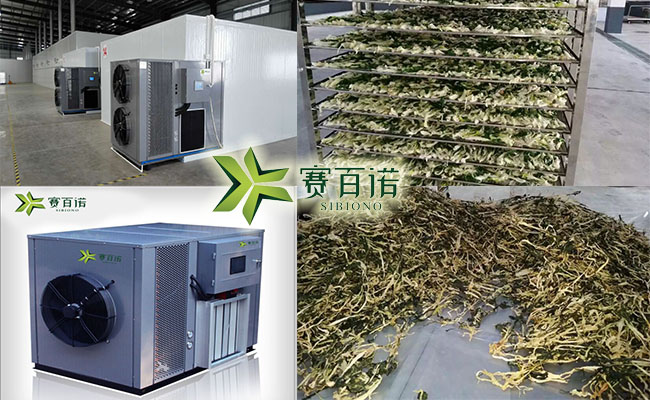 节能环保、智能先进的菜干烘干机 菜干烘干机价格 菜干烘干机厂家