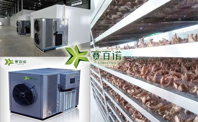 一度电可当四度电使用的天麻烘干机&nbsp;&nbsp;天麻烘干机价格&nbsp;&nbsp;天麻烘干机工艺