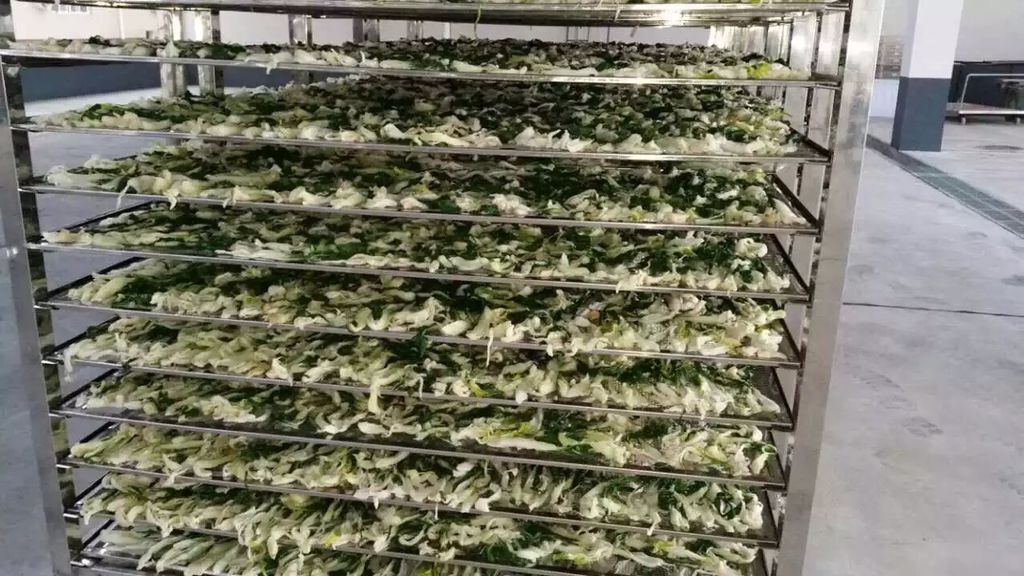 赛百诺菜干烘干机&nbsp;&nbsp;菜干烘干机价格&nbsp;&nbsp;菜干脱水干燥